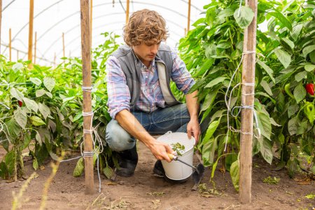 Téléchargez les photos : Focused agronomist seated on his haunches holding a garden tool and the bucket with pepper seedlings - en image libre de droit