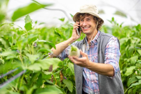 Téléchargez les photos : Waist-up portrait of a happy agriculturist holding an eggplant in the hand during the phone conversation in the greenhouse - en image libre de droit