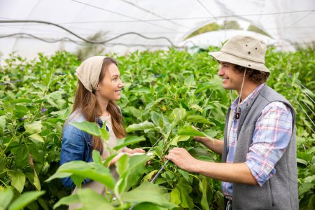 Foto de Cheerful agronomist and his smiling pleased female colleague standing among plants in the greenhouse and looking at each other - Imagen libre de derechos
