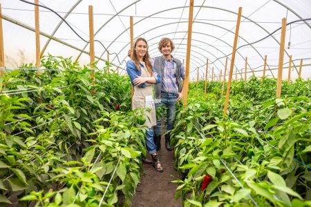 Foto de Smiling pleased vegetable growers posing for the camera among the pepper plants in the hothouse - Imagen libre de derechos