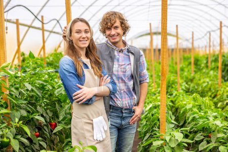 Foto de Smiling happy young couple of agriculturists standing among the red bell peppers in the hothouse - Imagen libre de derechos