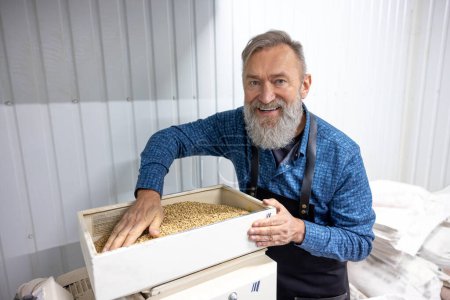 Photo for Work in progress. Mature bearded man taking grains from the box - Royalty Free Image