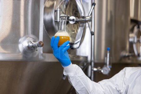 Foto de Cropped photo of a brewery technologist hand in a disposable nitrile glove holding a glass flask filled with liquid - Imagen libre de derechos