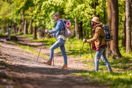 Téléchargez les photos : Mode de vie sain. Jeunes faisant une promenade scandinave dans le parc - en image libre de droit
