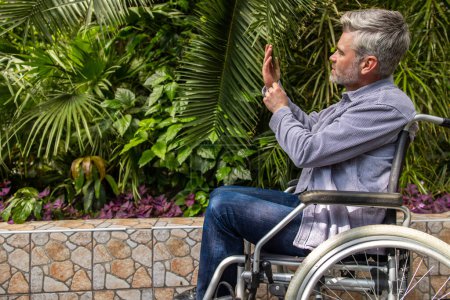 Photo for In the park. Bearded mid aged man in a wheelchair in the park - Royalty Free Image