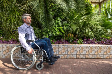 Foto de Un hombre en silla de ruedas en el parque. Hombre gris en una silla de ruedas en un parque - Imagen libre de derechos