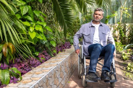 Téléchargez les photos : Dans le parc. Homme barbu d'âge moyen en fauteuil roulant dans le parc - en image libre de droit