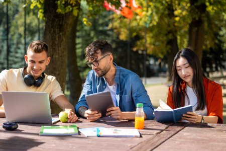 Photo for Studying. Young people studying in the park and looking involved - Royalty Free Image
