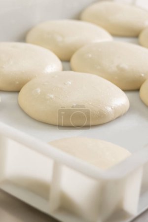 Photo for Close up of round dough pieces for pizza preparation - Royalty Free Image