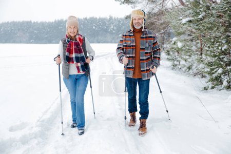 Téléchargez les photos : Activité hivernale. Couple en promenade avec des bâtons scandinaves - en image libre de droit