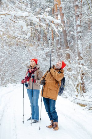 Good mood. Man and woman with scandinavian sticks in a winter forest looking enjoyed
