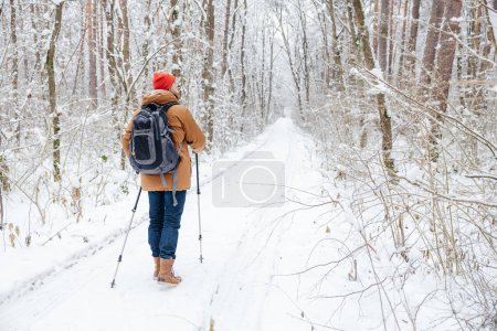 Cold. Man having a walk with scandinavian sticks in a snowy forest