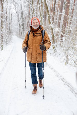 Walk in winter forest. Mature bearded man with scandinavian walk sticks in a winter forest