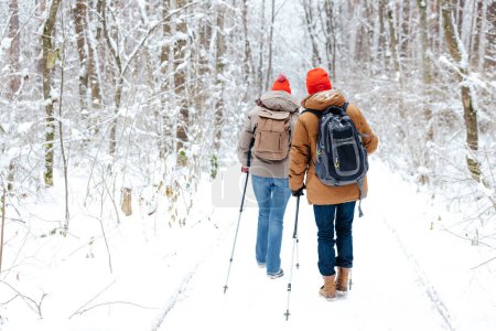 Téléchargez les photos : Promenade dans la forêt enneigée. Deux personnes marchant sur une forêt d'hiver avec des bâtons scandinaves - en image libre de droit
