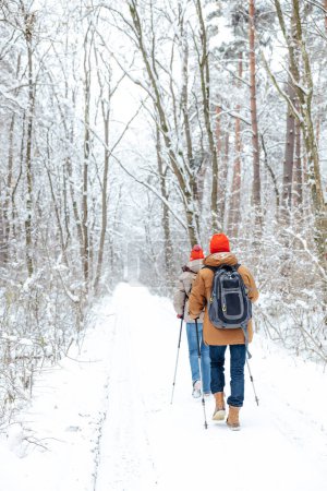 Walk in snowy forest. Two people walking on a winter forest with scandinavian sticks