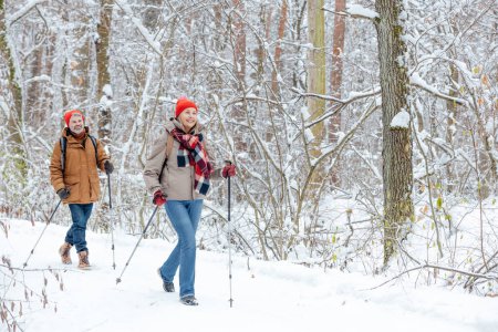 Téléchargez les photos : Loisirs et repos actif. Un couple qui se promène dans une forêt d'hiver et qui a l'air content - en image libre de droit