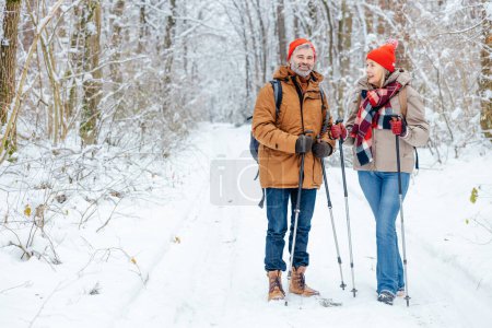 Two people in forest. Mature couple having a walk in a snowy forest with scandinavian sticks
