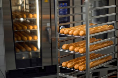 Photo for French baguettes on tray at bakery factory - Royalty Free Image