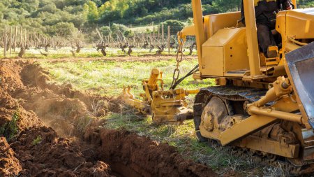 Foto de El agricultor cultiva el suelo con un tractor de orugas pesado para plantar un nuevo viñedo. Industria agrícola, bodega. - Imagen libre de derechos