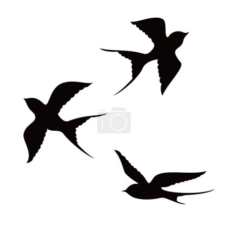 Ilustración de Tragar diseño de silueta de pájaro. pájaro volando signo y símbolo. - Imagen libre de derechos