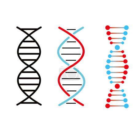 Illustration for DNA icon vector illustration. human genetic structure sign and symbol. - Royalty Free Image