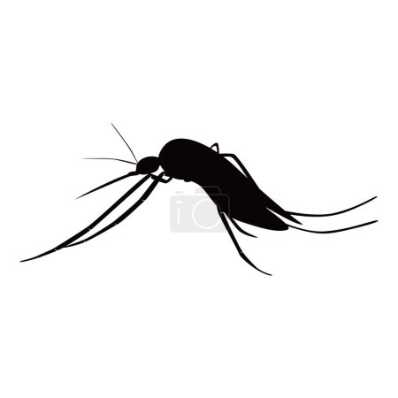 Illustration for Mosquitos silhouette design. pest animal sign and symbol. - Royalty Free Image
