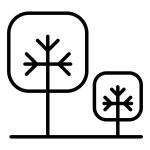Tree, plant, forest, park icon in thin line style Vector illustration graphic design