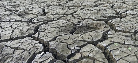 cracked earth background, dry ground surface texture.