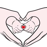 Vector illustration of adult and baby hand making heart gesture or shape, Mothers day, Fathers day