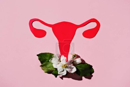 Silueta de un útero anatómico con ovarios de color rojo y una flor natural sobre un fondo rosa. Puesta plana