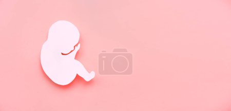 Foto de Silueta de papel de un embrión humano sobre fondo lila. El concepto de reproducción. Banner, plano, lugar para el texto. - Imagen libre de derechos