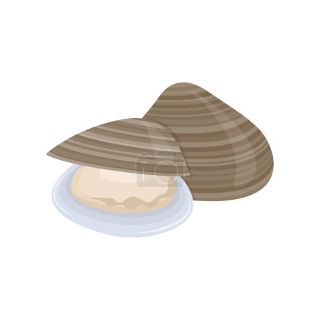 Illustration for Fresh seafood ingredient clams cartoon vector isolated illustration - Royalty Free Image
