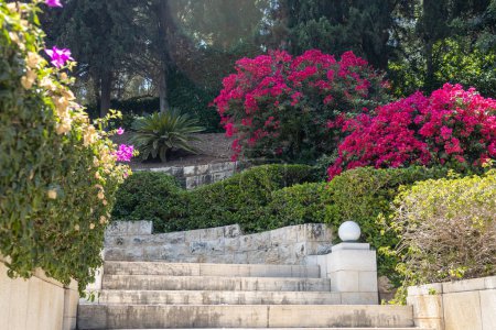 Photo for Haifa, Israel, July 12, 2022 : The decorative metal gate at the entrance to the middle terrace of the Bahai Garden, located on Mount Carmel in the city of Haifa, in northern Israel - Royalty Free Image