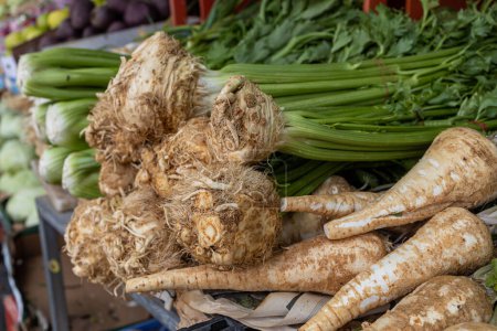 Photo for Celery and horseradish roots on a stall in a market in Haifa in Israel - Royalty Free Image