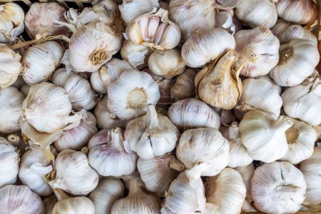 Photo for The pile of garlic is on the Borough market in London - Royalty Free Image