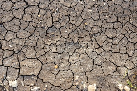 Photo for Nature background of cracked dry lands. Natural texture of soil with cracks. Broken clay surface of barren dryland wasteland close-up. Full frame to terrain with arid climate. Lifeless desert on earth - Royalty Free Image