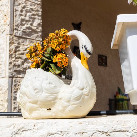 Photo for An orange Widow's-thrill in a swan-shaped ceramic vase adorns the entrance to the house. - Royalty Free Image