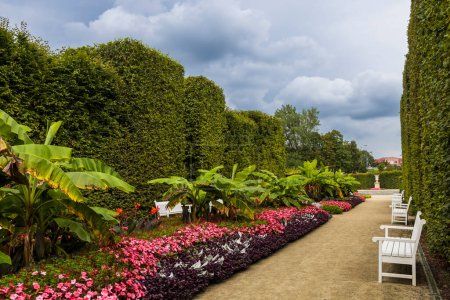 Photo for Warsaw, Poland - 28 August 2023, the Gardens of the Royal Castle - Royalty Free Image