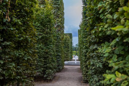 Photo for Warsaw, Poland - 28 August 2023, the Gardens of the Royal Castle - Royalty Free Image
