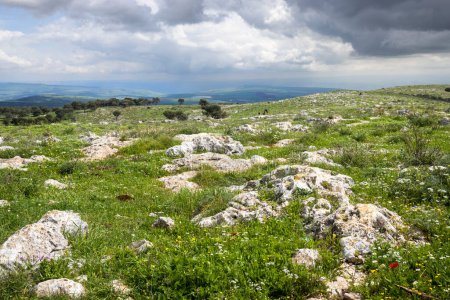 Mountain view at Givat HaMoreh Park