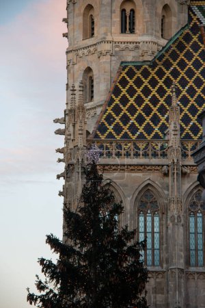 Photo for Christmas tree in front of Stephansdom, Cathedral St Stephan in Vienn - Royalty Free Image