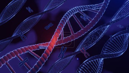 Foto de Estructura espiral de ADN. DNA Helix cadena complementaria de secuencias código genético o genoma. Expresión génica. base de datos de nucleótidos. El Dogma Central proceso de transcripción y traducción. Renderizado 3D. - Imagen libre de derechos