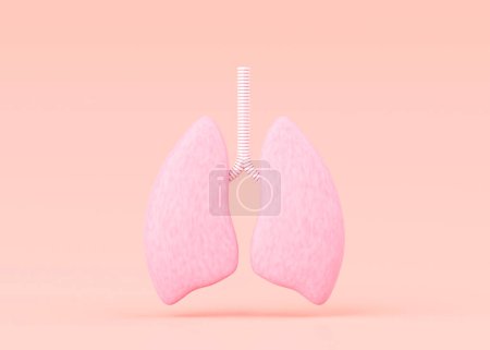 Téléchargez les photos : 3D Render of Human Lungs - Medical Illustration for Health, Anatomy and Science Concepts, respiratory system - en image libre de droit