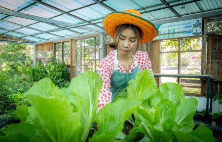Photo for Beautiful asian female farmer picking her organic vegetables with a serious face. - Royalty Free Image