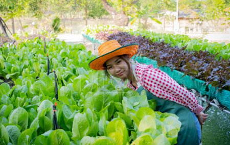 Photo for Beautiful asian female farmer standing in organic vegetable garden while looking to the camera. - Royalty Free Image