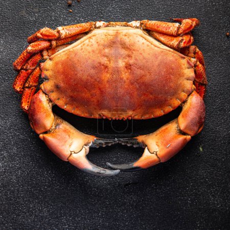 Foto de Crab boiled seafood ready to eat shellfish fresh healthy meal food snack on the table copy space food background rustic top view - Imagen libre de derechos