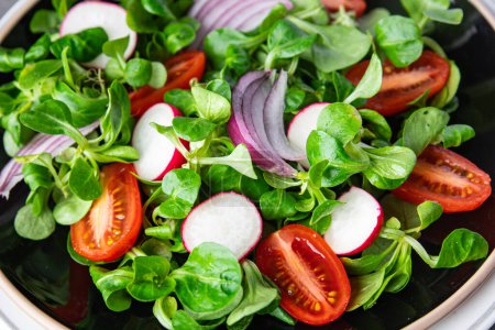 Photo for Fresh salad tomato, radish, onion, mache lettuce, green leaves vegetable snack healthy meal food on the table copy space food background rustic top view - Royalty Free Image