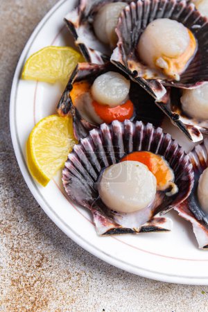 Foto de Scallops in shell fresh seafood meal food snack on the table copy space food background rustic top view pescatarian diet - Imagen libre de derechos