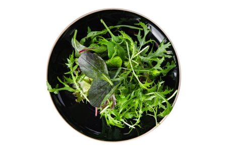 Foto de Green salad leaves mix micro green, juicy healthy snack food on the table copy space food background rustic top view - Imagen libre de derechos