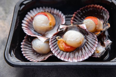 fresh scallop shell seafood meal snack on the table copy space food background rustic top view